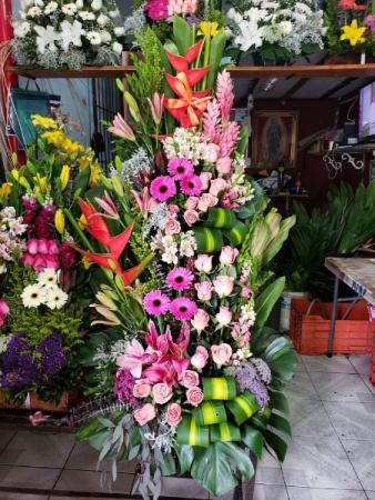 tropical esquisite arrangent 