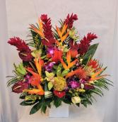 Tropical Explosion Arrangement
