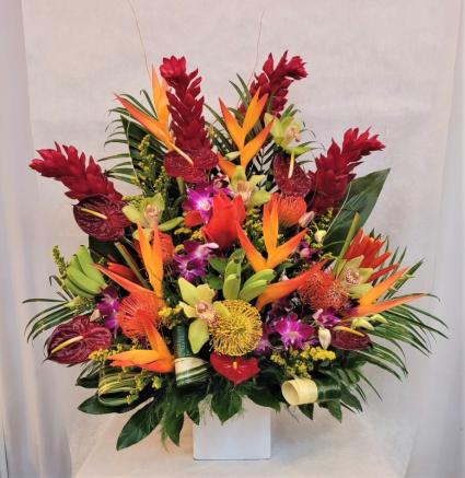 Tropical Explosion Arrangement