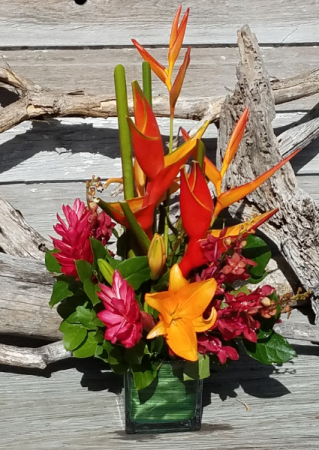 Tropical Explosion Floral Arrangement in Key West, FL | Petals & Vines