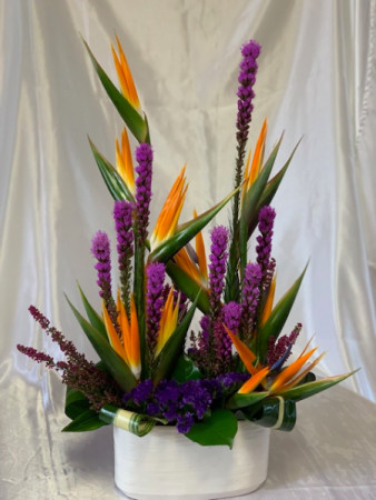 Tropical Fantasy Birds of Paradise
