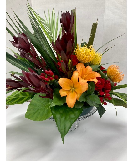 Tropical Feature 