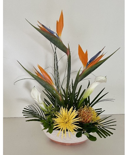 Tropical Flair 
