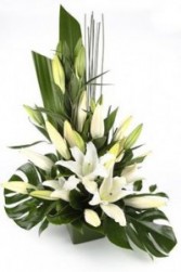 Tropical Flare Lillies Cut Flowers in Oasis