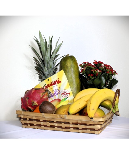 Tropical Fruit Gift Basket + Plant 