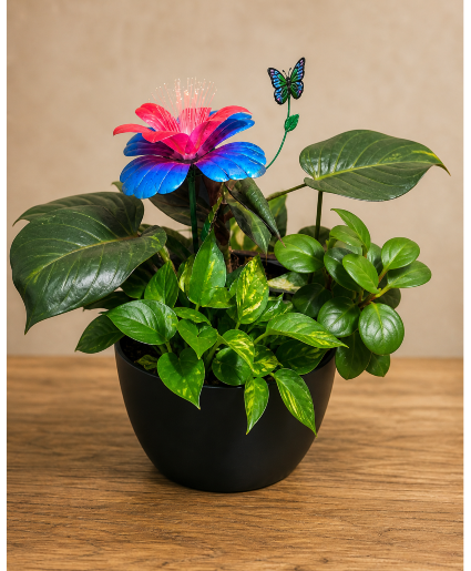 Tropical Glow Dish Garden Indoor Dish Garden with Solar Accent