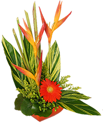 TROPICAL HEAT Arrangement