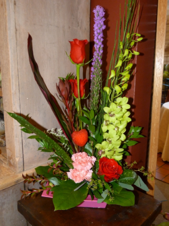 Tropical Heat Container Arrangement
