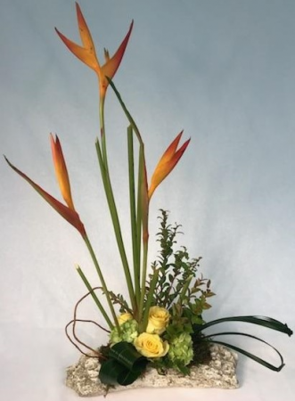 Tropical High Style 