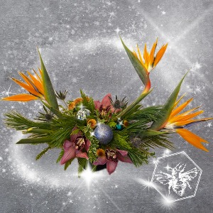 Tropical Holiday Designers Choice Designers Choice