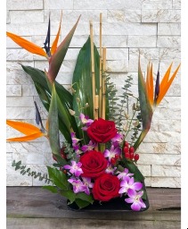 Tropical Romance 