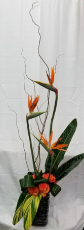 Tropical Madness fresh tropical arrangements