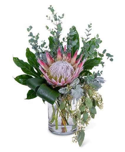 Tropical Naturals Plant