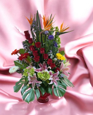 TROPICAL OASIS #17 