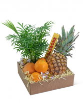Tropical Oasis Basket Gift Basket