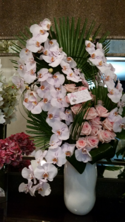 Tropical Orchids  Modern 