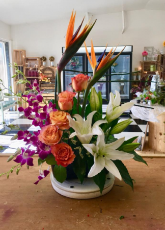 Tropical paradise Tropical arrangement