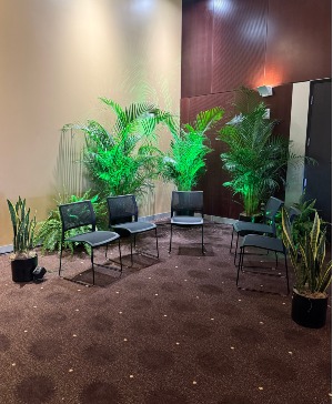 Tropical Plant Grouping 