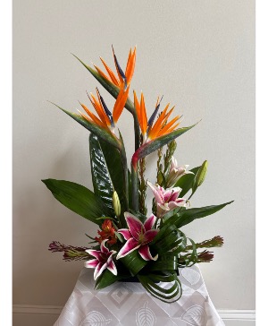 Tropical Radiance Foam Arrangement