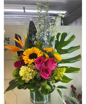 Tropical Radiant Arrangement 
