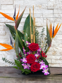 Tropical Romance 
