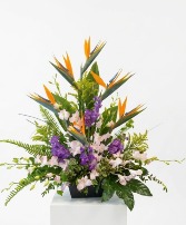 Tropical Serenity Arrangement（Limited）