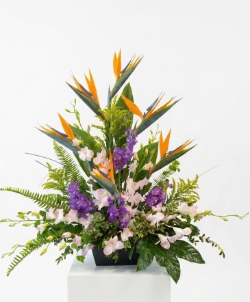 Tropical Serenity Arrangement（Limited） in Winnipeg, MB | CHARLESWOOD FLORISTS