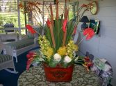Tropical Splendor 