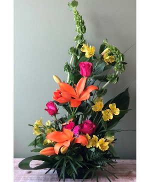 Tropical Smoothie CFP11-4A