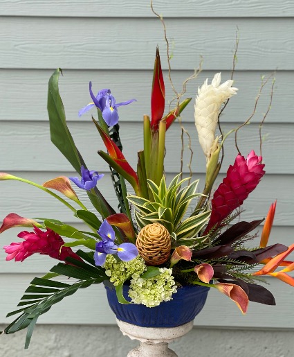 Tropical Splendor 