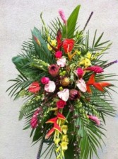 Tropical Spray 