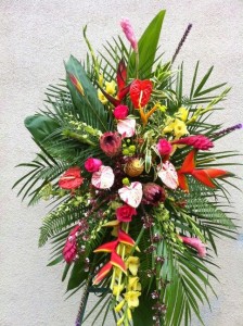 Tropical Spray 