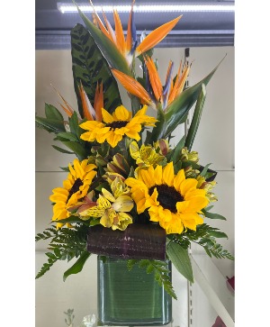 Tropical sunflowers tropical