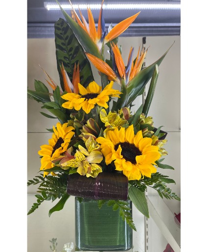 Tropical sunflowers tropical