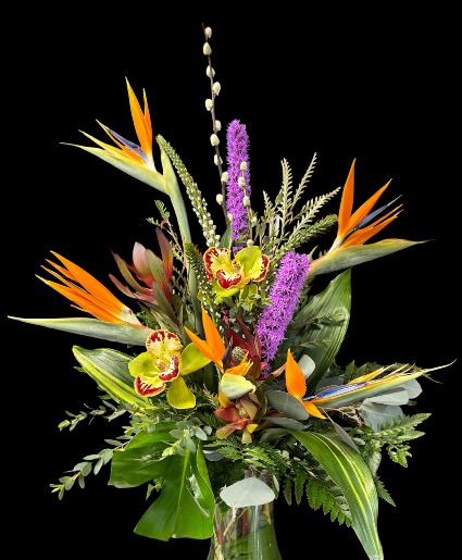 Tropical Surprise  Tropical Arrangement 