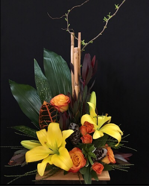 Tropical touch High style 