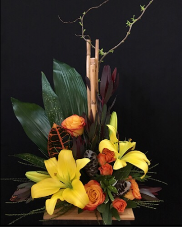 Tropical touch High style 