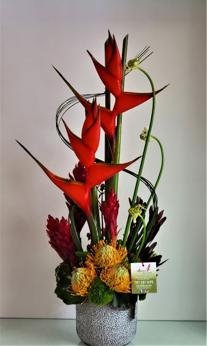 Tropical Island Love Tropical Flowers