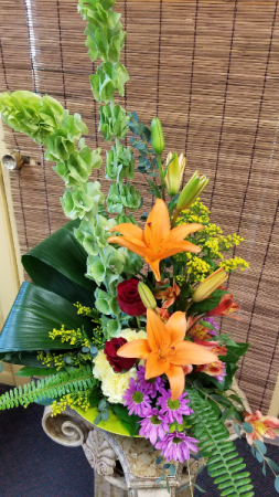 Tropical Vibe 