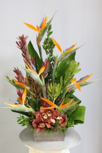 Tropical Wonders Floral Arrangement
