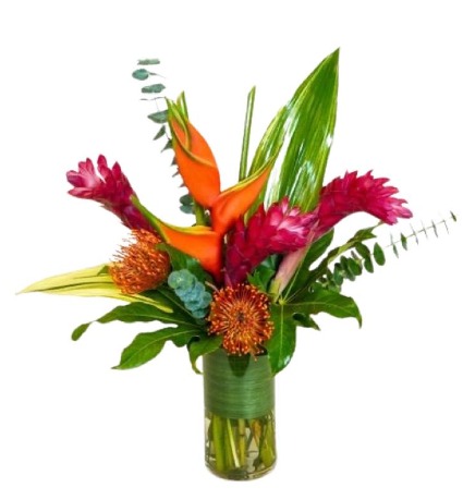 Radiant Tropicals 