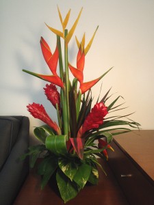 Tropics for You! Designers Choice Tropical arrangement