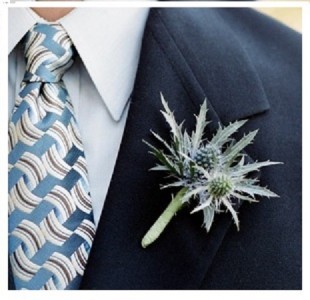 Tru Blu Flowers 