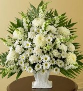 WHITE WONDER TRIBUTE....(S) All white flowers in a floral arrangement