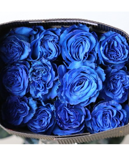 Blue Roses 