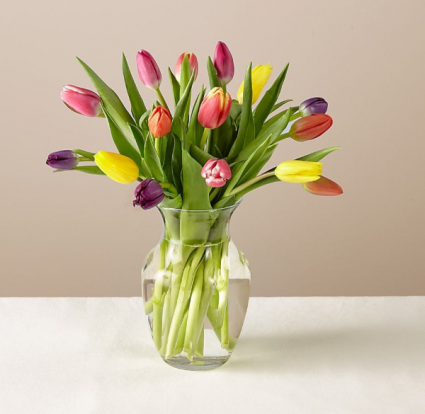 Tulips for Mom SOLD OUT