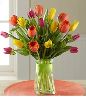 Tulip Festival 