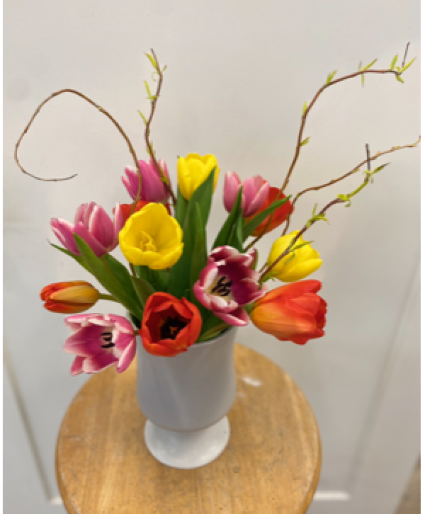 Tulip Frenzy 