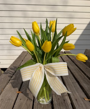 Tulip moment  Tulips with matching bow 
