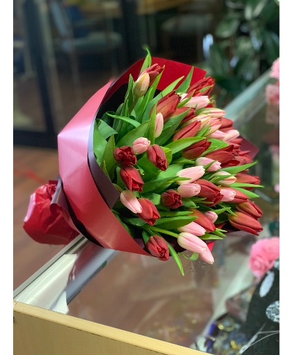 Tulip paradise 